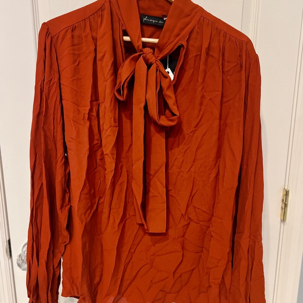 Chic Rust Tie-Neck Blouse